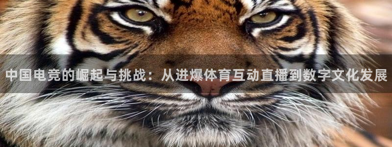 中国电竞的崛起与挑战：从进爆体育互动直播到数字文化发展