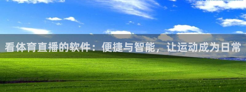 看体育直播的软件：便捷与智能，让运动成为日常