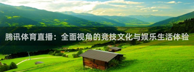 腾讯体育直播：全面视角的竞技文化与娱乐生活体验