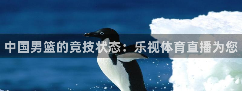 中国男篮的竞技状态：乐视体育直播为您