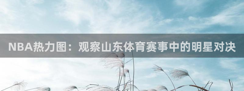 NBA热力图：观察山东体育赛事中的明星对决