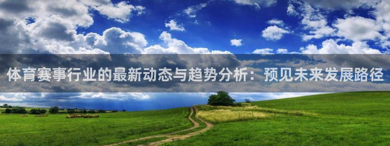 体育赛事行业的最新动态与趋势分析：预见未来发展路径